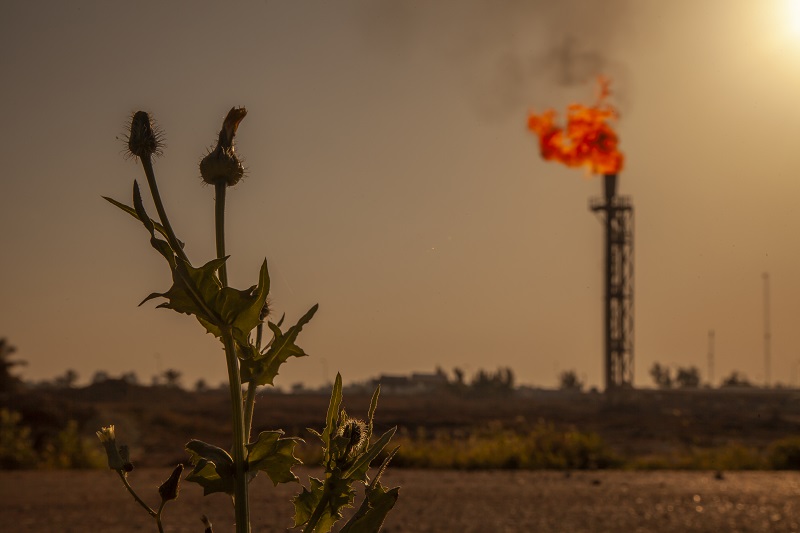 BP is extracting Iraq’s wealth with no benefit to ordinary Iraqis